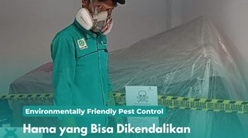 Hama yang Bisa Dikendalikan dengan Fumigasi