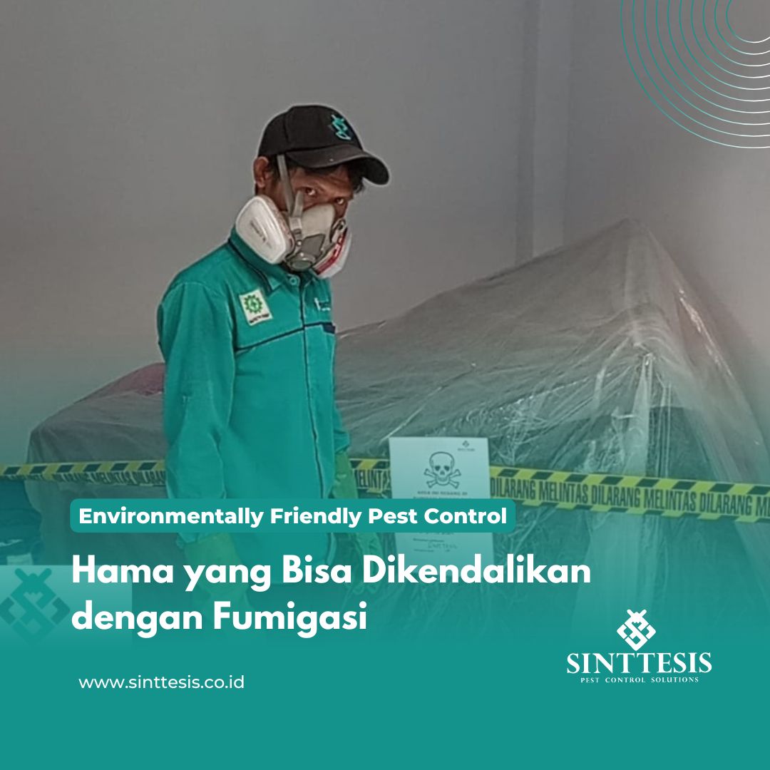 Hama yang Bisa Dikendalikan dengan Fumigasi