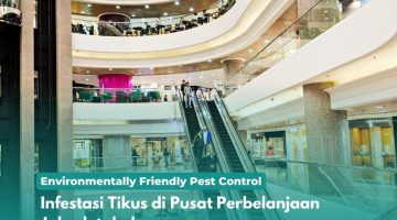 Infestasi Tikus di Pusat Perbelanjaan Jabodetabek