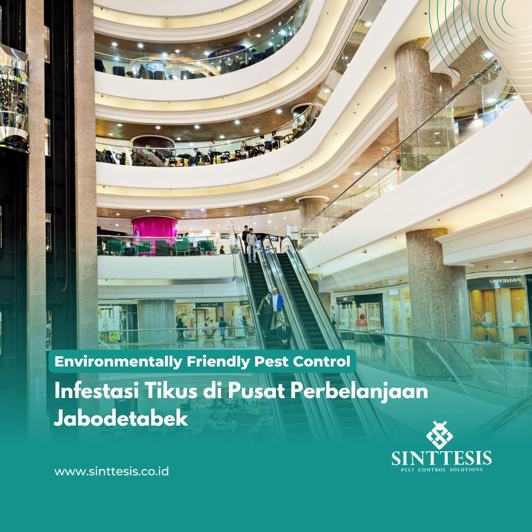Infestasi Tikus di Pusat Perbelanjaan Jabodetabek