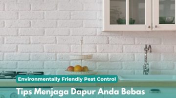 Tips Menjaga Dapur Anda Bebas Hama