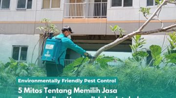 5 Mitos Tentang Memilih Jasa Pengendalian Hama di Jabodetabek