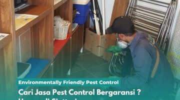 Cari Jasa Pest Control Bergaransi Hanya di Sinttesis Cari Jasa Pest Control Bergaransi Hanya di Sinttesis