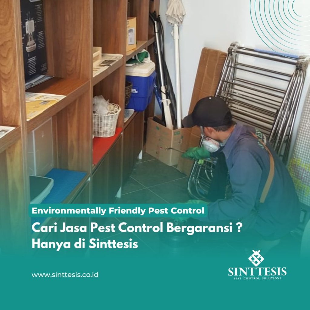 Cari Jasa Pest Control Bergaransi Hanya di Sinttesis