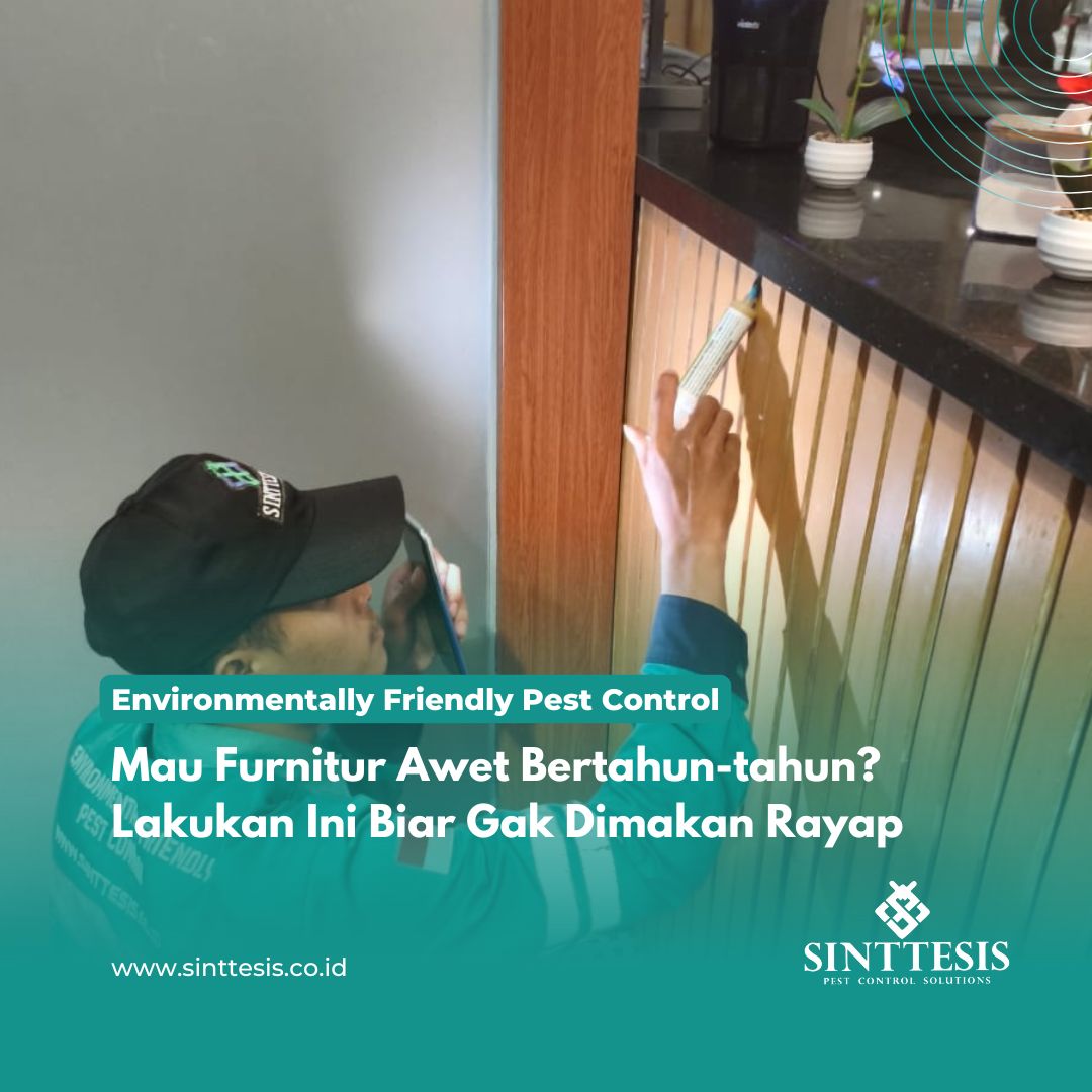 Mau Furnitur Awet Bertahun-tahun Lakukan Ini Biar Gak Dimakan Rayap