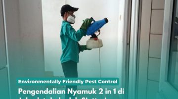 Pengendalian Nyamuk 2 in 1 di Jabodetabek oleh Sinttesis Pengendalian Nyamuk 2 in 1 di Jabodetabek oleh Sinttesis