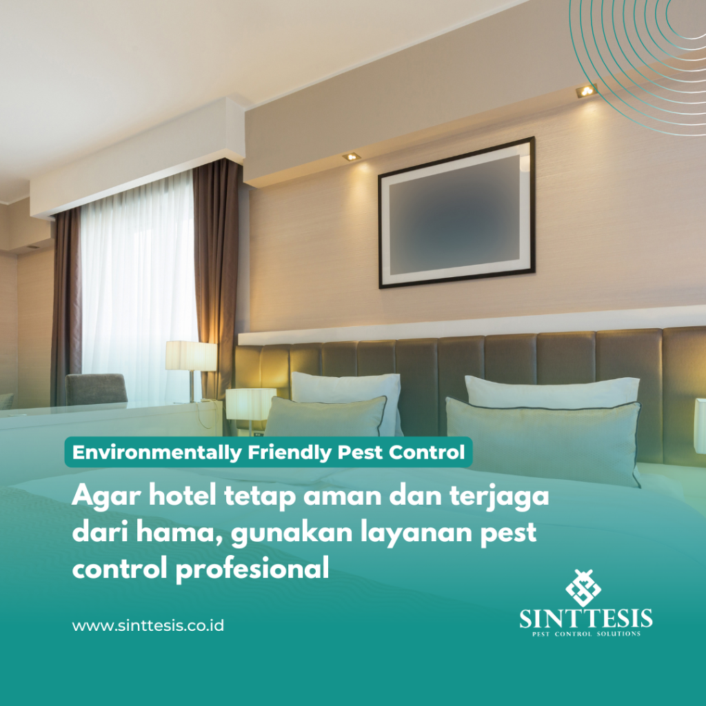 Agar hotel tetap aman dan terjaga dari hama, gunakan layanan pest control profesional