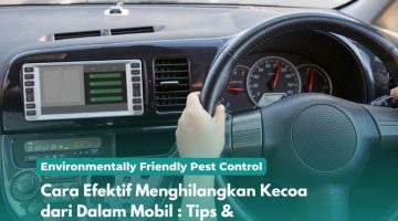 Cara Efektif Menghilangkan Kecoa dari Dalam Mobil Tips & Pencegahan
