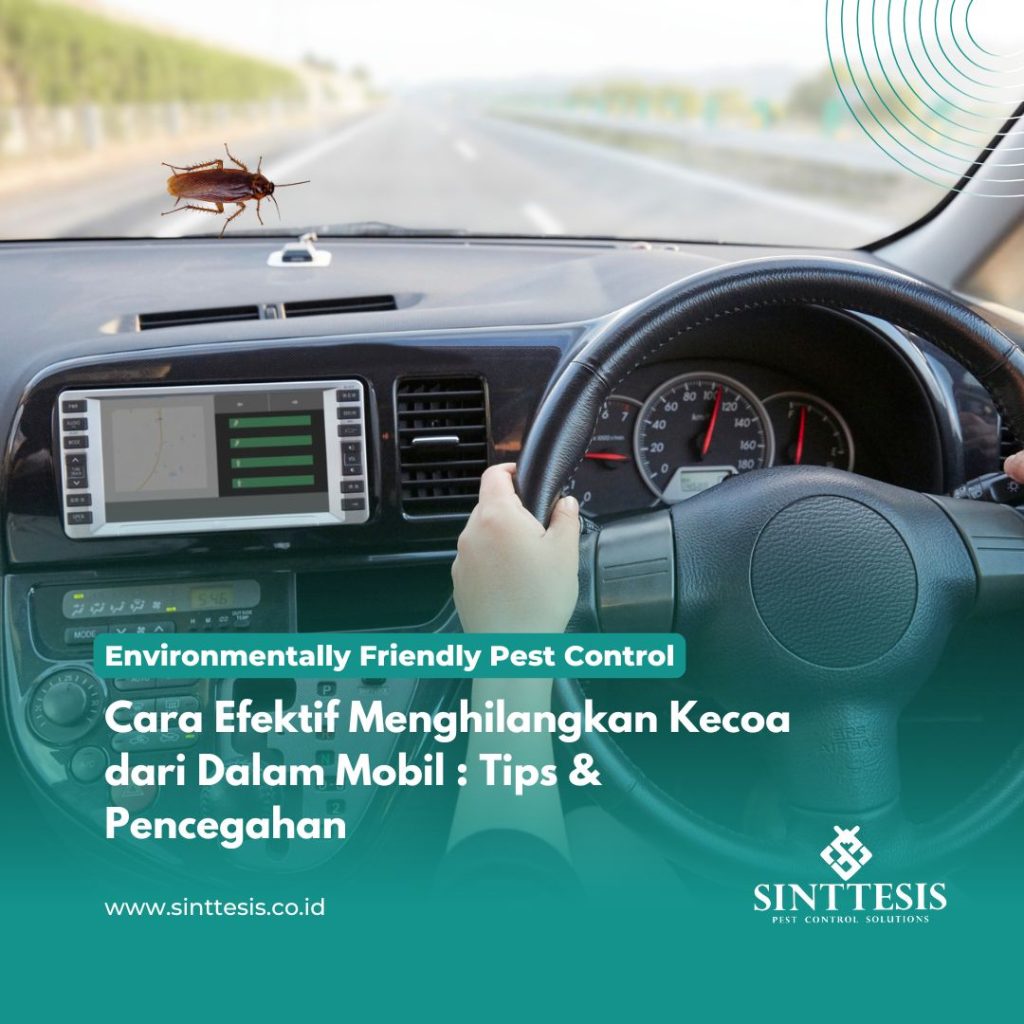 Cara Efektif Menghilangkan Kecoa dari Dalam Mobil Tips & Pencegahan