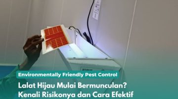 Lalat Hijau Mulai Bermunculan Kenali Risikonya dan Cara Efektif Mengusirnya