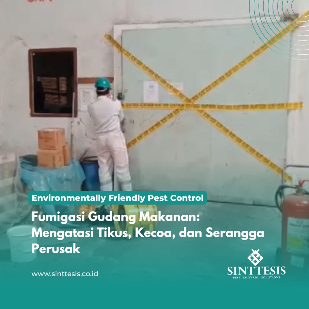 Fumigasi Gudang Makanan Mengatasi Tikus, Kecoa, dan Serangga Perusak
