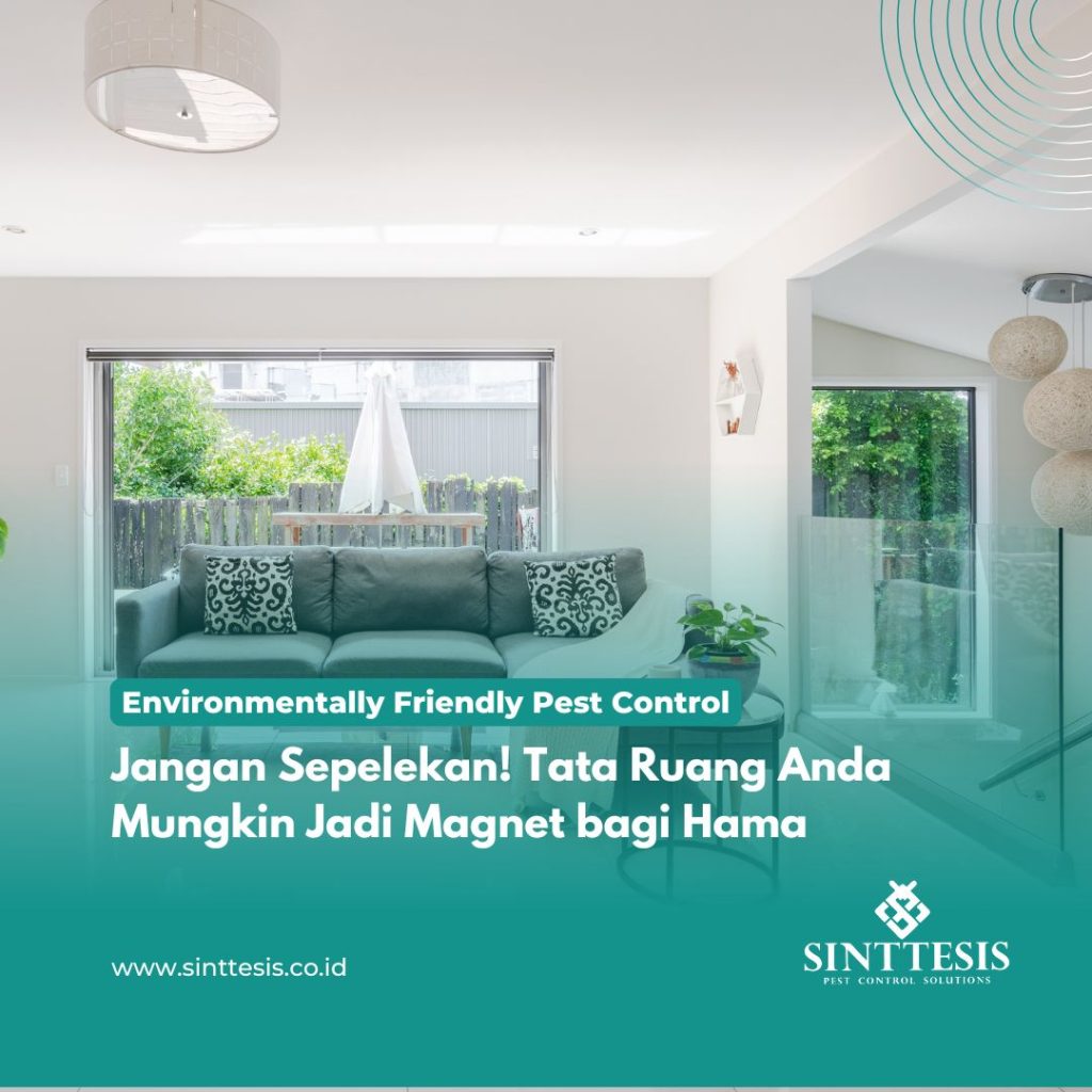 Jangan Sepelekan! Tata Ruang Anda Mungkin Jadi Magnet bagi Hama