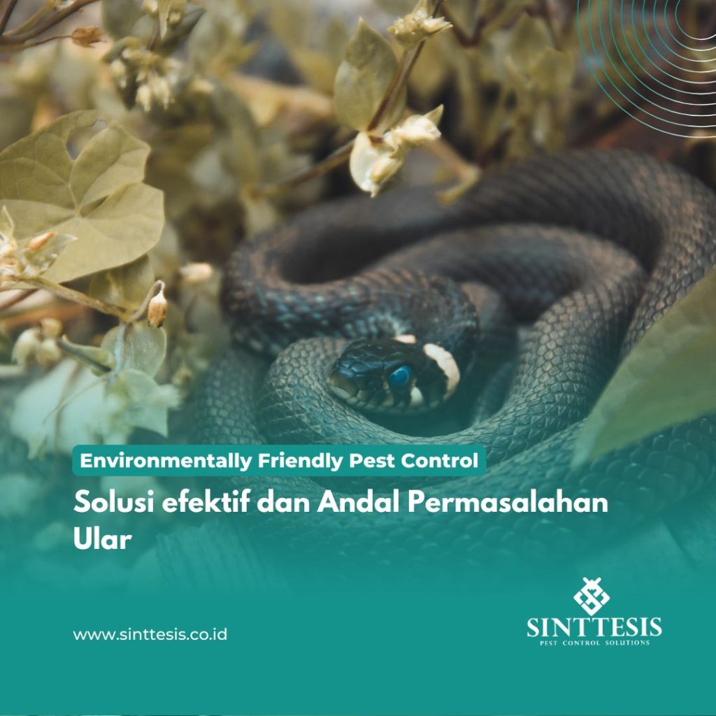 Solusi efektif dan Andal Permasalahan Ular
