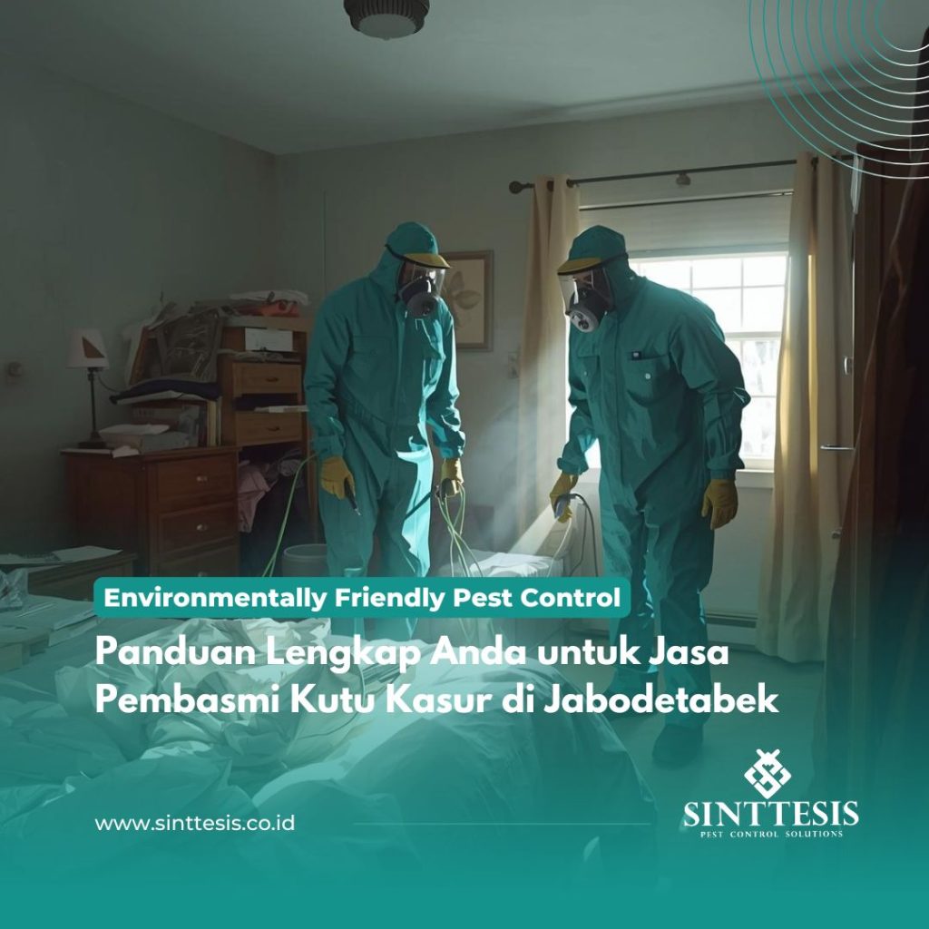Panduan Lengkap Anda untuk Jasa Pembasmi Kutu Kasur di Jabodetabek