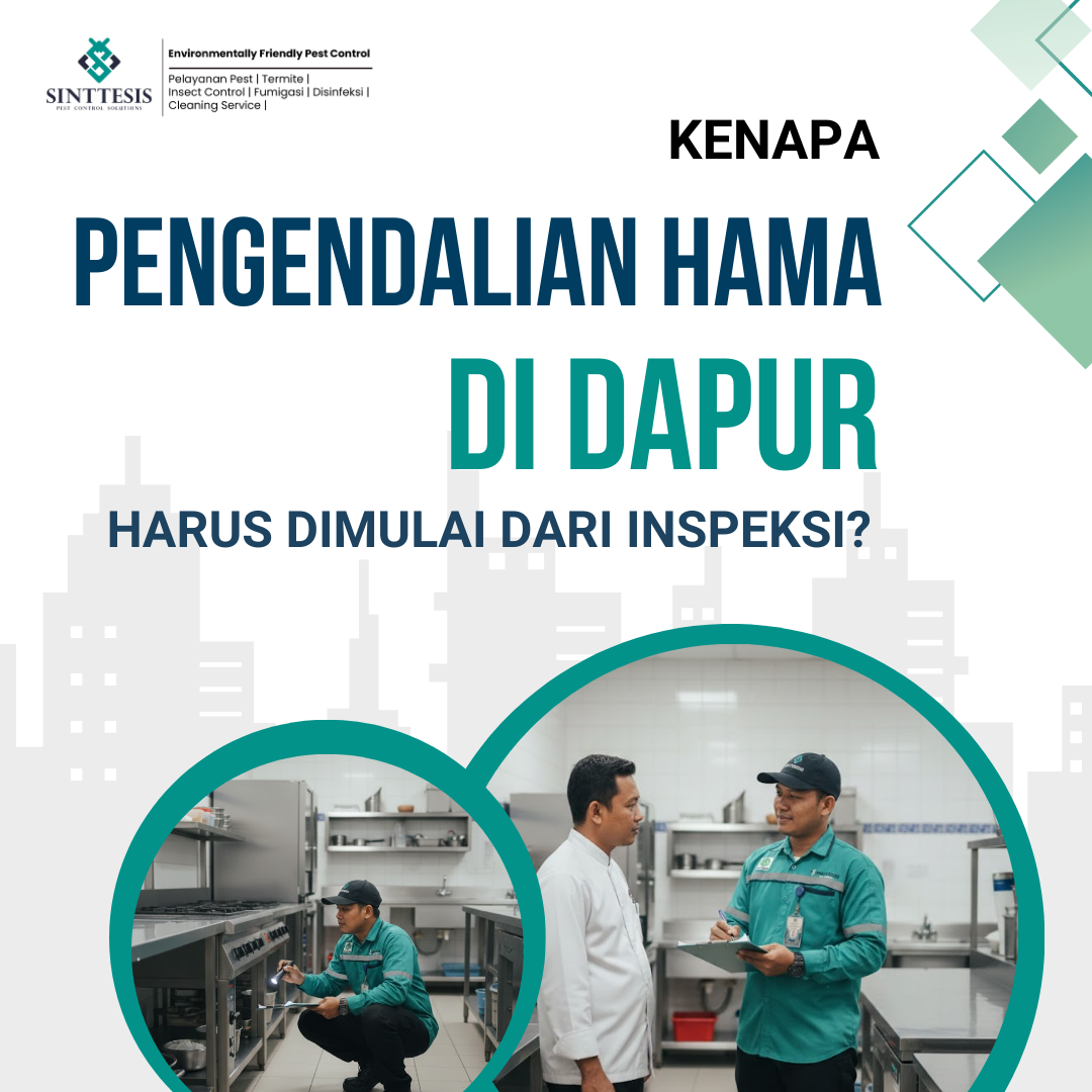 Kenapa Pengendalian Hama di Dapur Harus Dimulai dari Inspeksi?