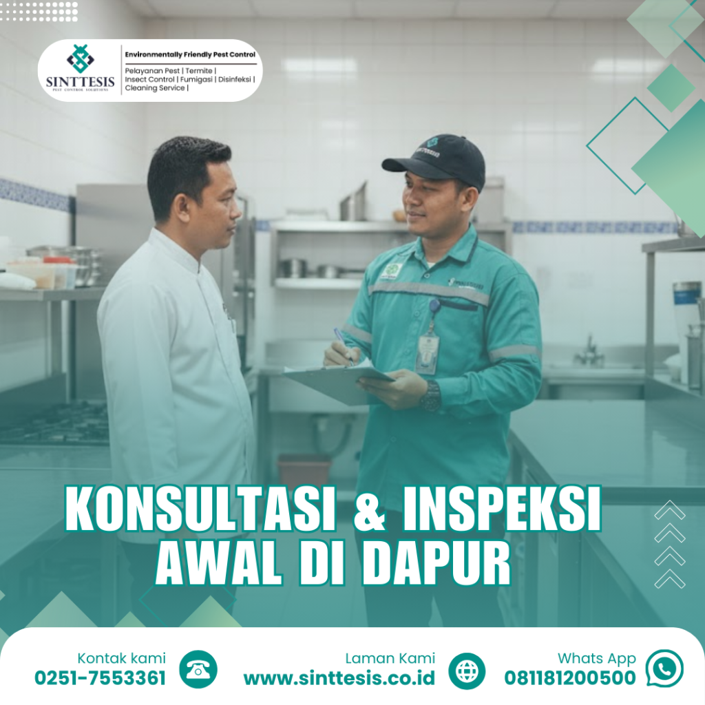 pengendalian hama dapur melalui konsultasi dan inspeksi awal