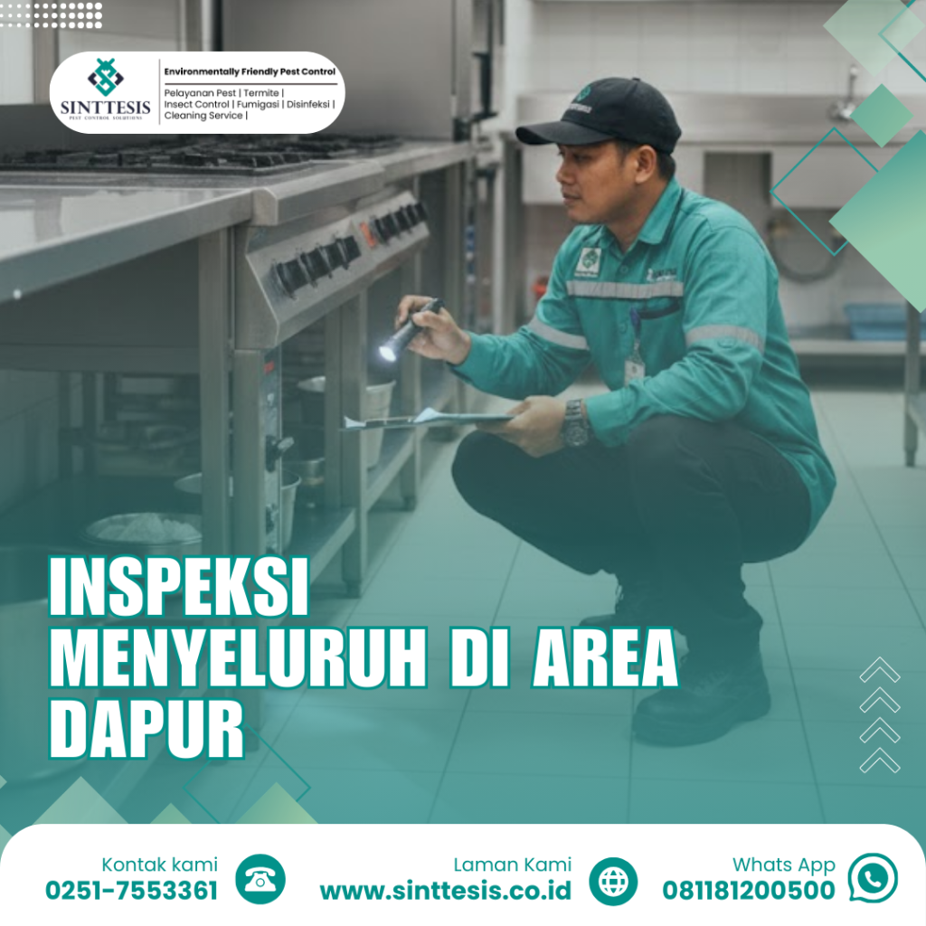 inspeksi menyeluruh pengendalian hama dapur