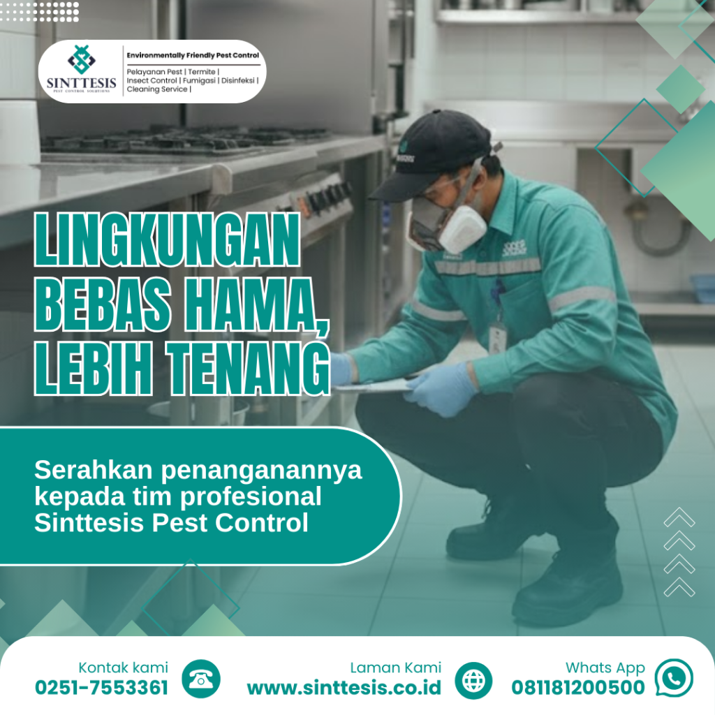 final check pengendalian hama dapur oleh teknisi profesional