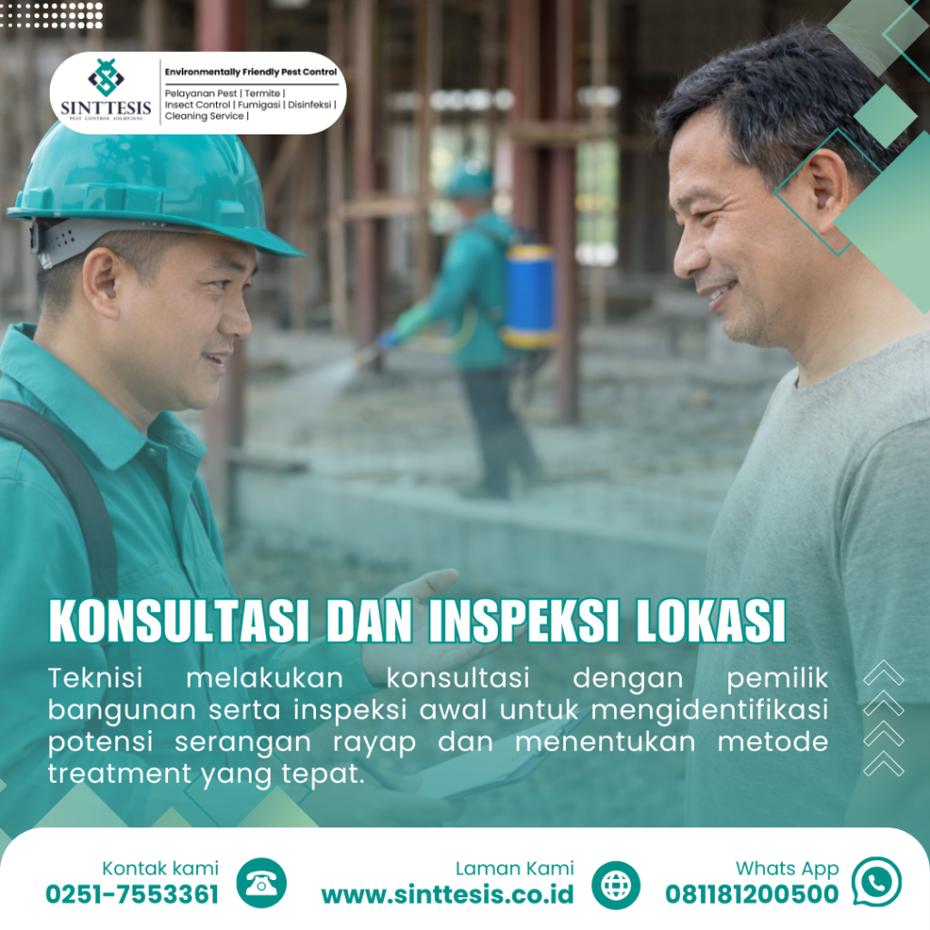 inspeksi awal treatment anti rayap oleh teknisi