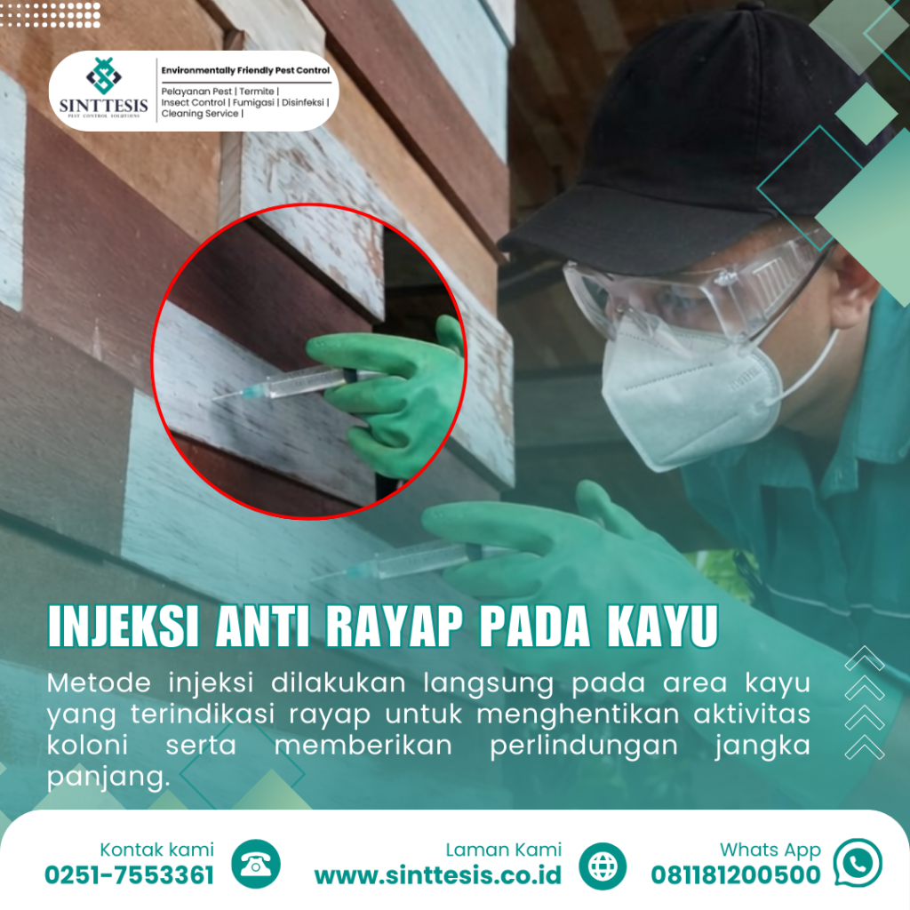 injeksi anti rayap pada kayu